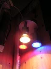 cocos led cocos led