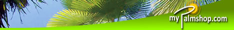 468_60_mypalmshop
