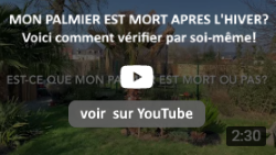 FR yt speer