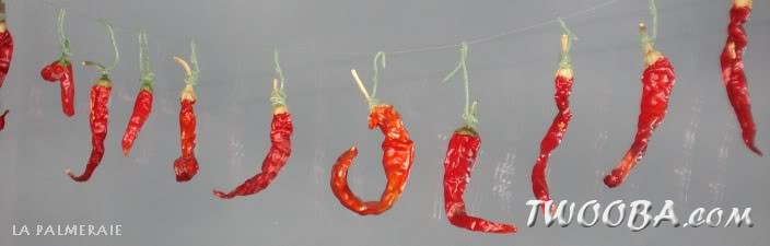 pepers drogen